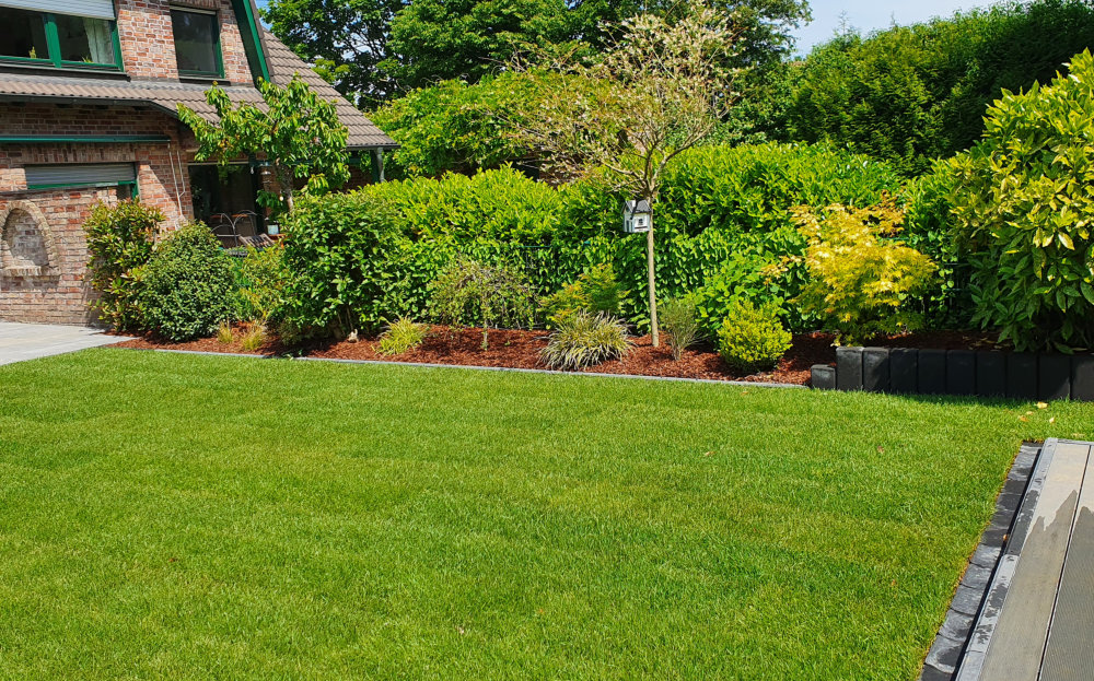 Gepflegter Garten mit Rasen und Bepflanzung