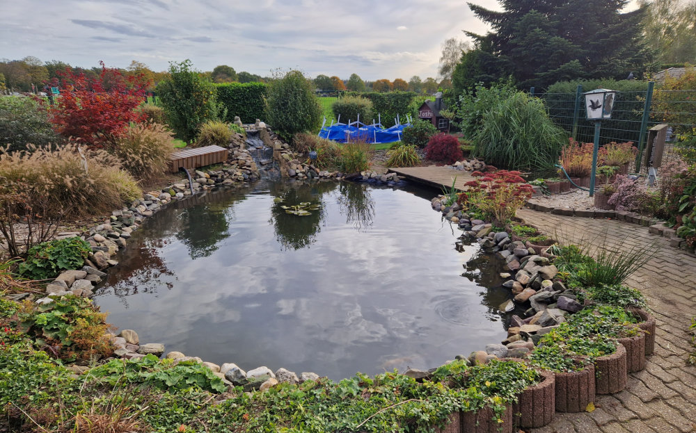 Gartenteich mit Bepflanzung